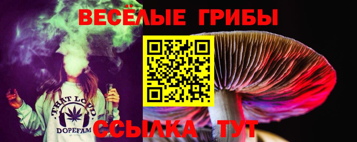 Псилоцибиновые грибы GOLDEN TEACHER Свободный